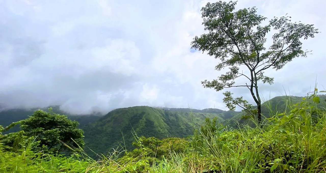Paradizo Resort Vagamon